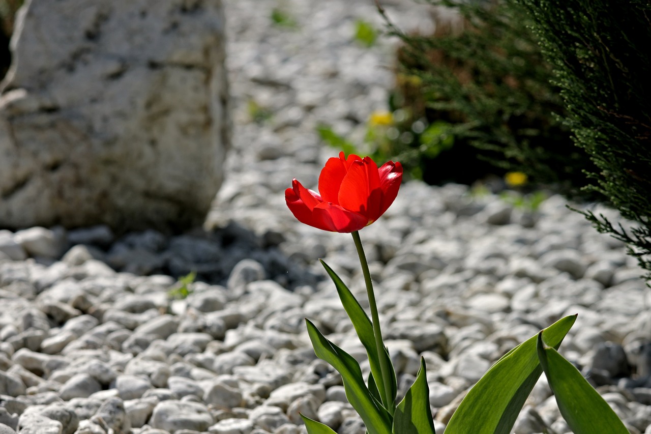 DIY Garden Projects Using River Rocks